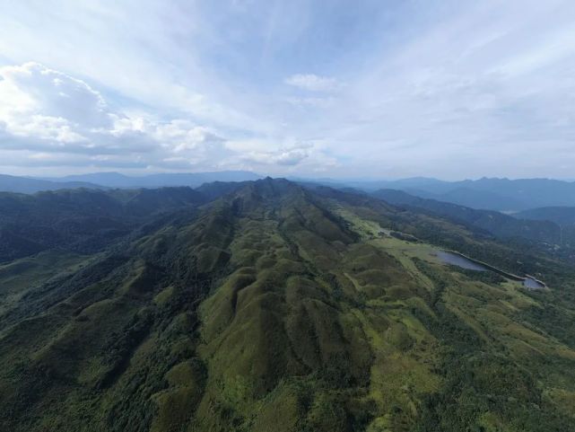 羅坑鱷蜥保護區首次發現鴛鴦