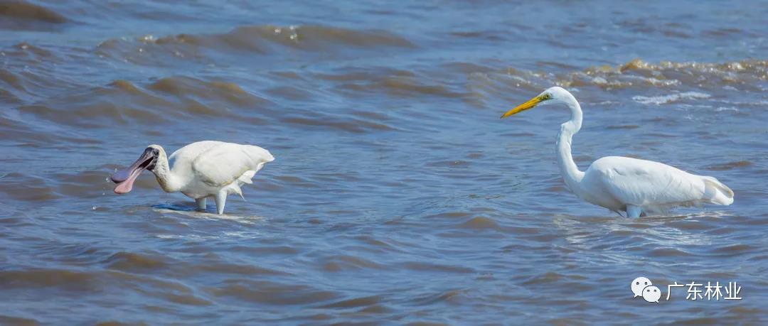 cfcb0bbaef40e8e321b9a5362123dfbe.jpg 003.jpg