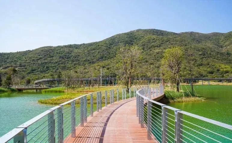 974ad57ee47c7d0bced1d963cb3f4f2c.jpg 001.jpg