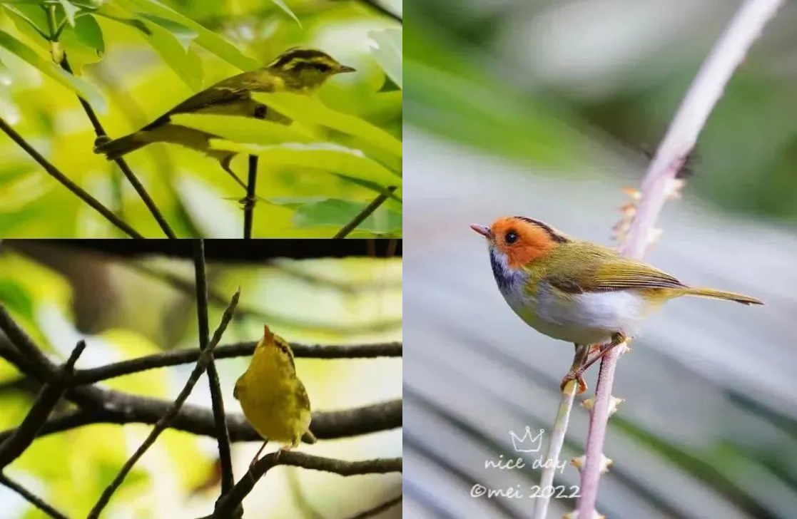 3e5f6532d6cf03460e096e9094641d45.jpg 003.jpg