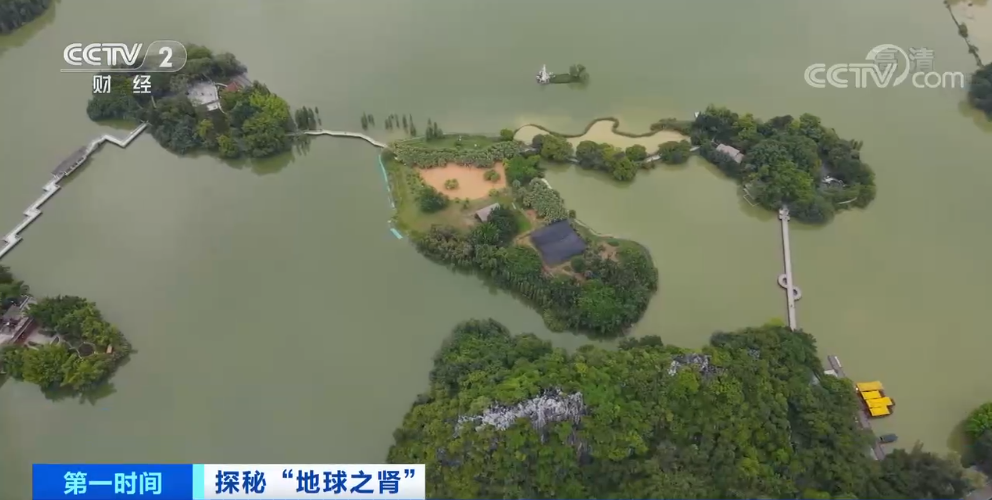 d32269a6cb244475005f53e69467a874.png 002.png